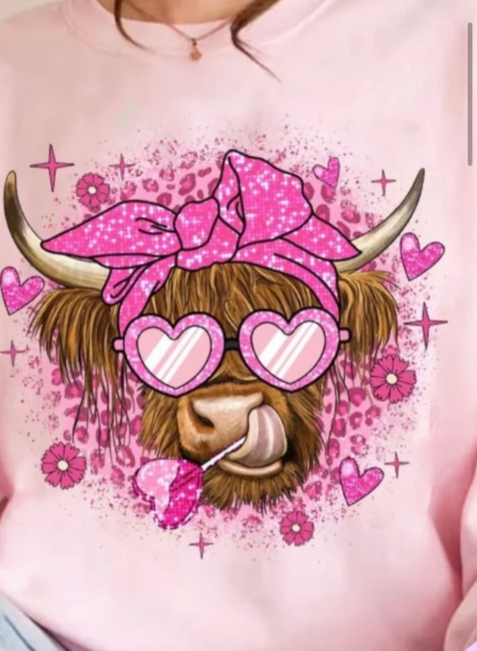 highland Cow With A lolipop