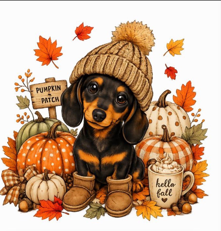 Fall Dachshund