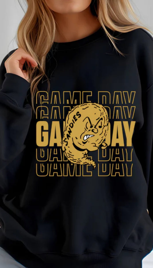 Amarillo High Sandies Game Day