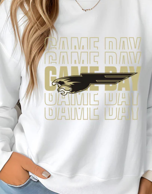 Bushland Falcons GameDay