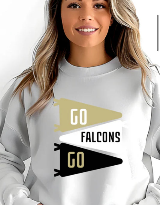 Bushland Falcons flags