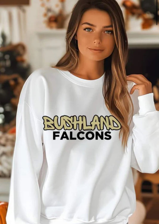 Bushland Falcons